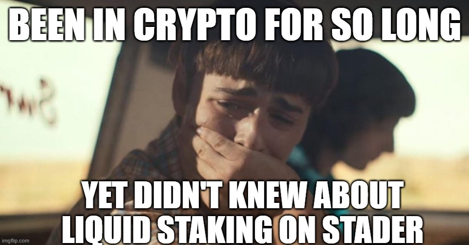 will byers crying | BEEN IN CRYPTO FOR SO LONG; YET DIDN'T KNEW ABOUT LIQUID STAKING ON STADER | image tagged in will byers crying | made w/ Imgflip meme maker