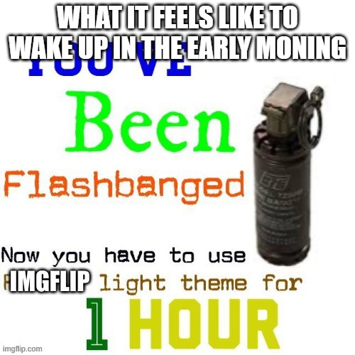 Gah damn | WHAT IT FEELS LIKE TO WAKE UP IN THE EARLY MONING | image tagged in flash banged | made w/ Imgflip meme maker