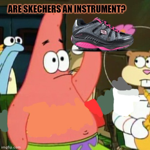 No. This is not ok. | ARE SKECHERS AN INSTRUMENT? | image tagged in memes,no patrick,sketchers,sneakers,stop it get some help | made w/ Imgflip meme maker
