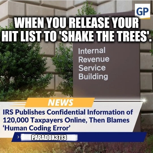 The US Government has a huge Doxxing problem. | WHEN YOU RELEASE YOUR HIT LIST TO 'SHAKE THE TREES'. PARADOX3713 | image tagged in memes,politics,joe biden,irs,tyranny,hitman | made w/ Imgflip meme maker