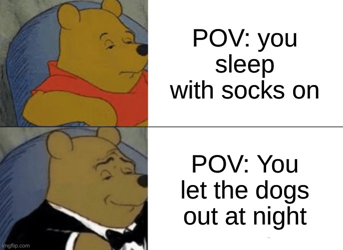 Tuxedo Winnie The Pooh Meme | POV: you sleep with socks on; POV: You let the dogs out at night | image tagged in memes,tuxedo winnie the pooh | made w/ Imgflip meme maker