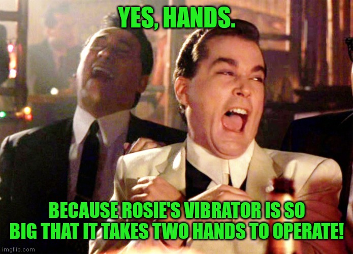 Good Fellas Hilarious Meme | YES, HANDS. BECAUSE ROSIE'S VIBRATOR IS SO BIG THAT IT TAKES TWO HANDS TO OPERATE! | image tagged in memes,good fellas hilarious | made w/ Imgflip meme maker