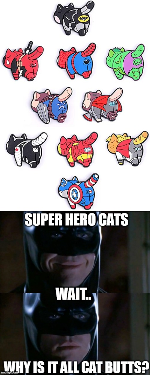 SUPER HERO CAT BUTT MAGNETS |  SUPER HERO CATS; WAIT.. WHY IS IT ALL CAT BUTTS? | image tagged in memes,batman smiles,superheroes,cats,super hero | made w/ Imgflip meme maker