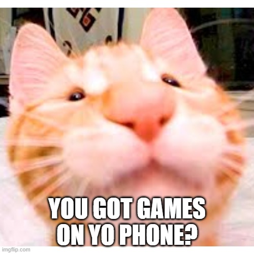 childish cat wanting yo games | YOU GOT GAMES ON YO PHONE? | image tagged in cats,funny cats,funny memes,gimme,your,games | made w/ Imgflip meme maker