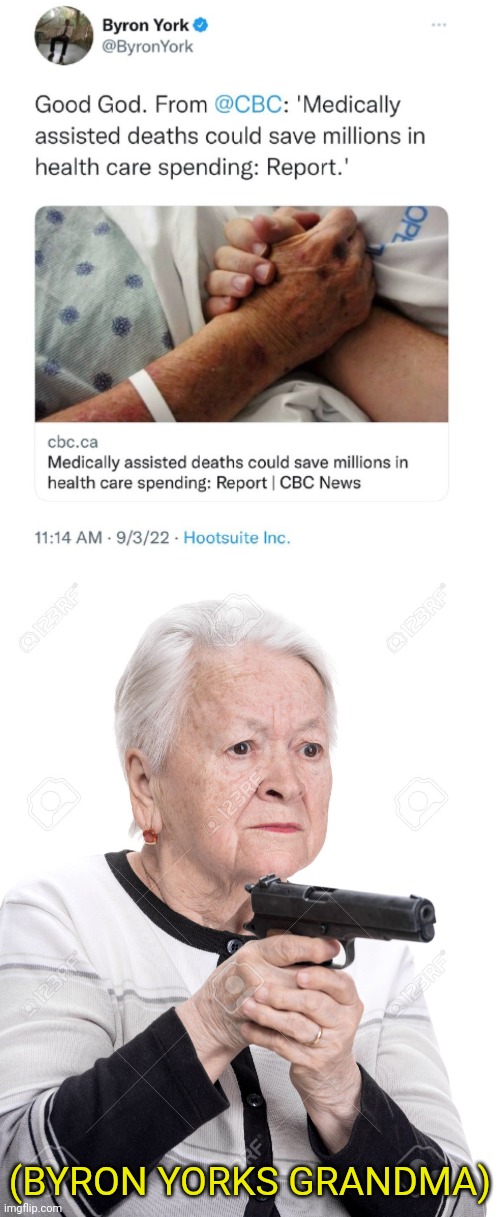 To Save Money the left Will be calling for Euthanasia Soon | (BYRON YORKS GRANDMA) | image tagged in grandma gun,euthanasia,elderly,leftists | made w/ Imgflip meme maker