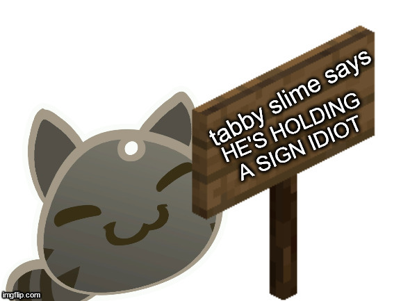 Tabby Slime Says | HE'S HOLDING A SIGN IDIOT | image tagged in tabby slime says | made w/ Imgflip meme maker