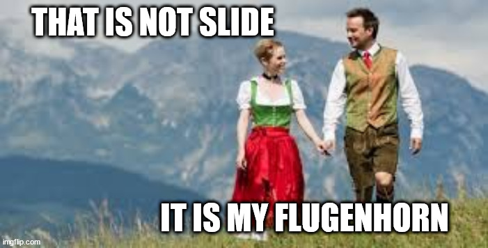 Austrian crazy | THAT IS NOT SLIDE IT IS MY FLUGENHORN | image tagged in austrian crazy | made w/ Imgflip meme maker