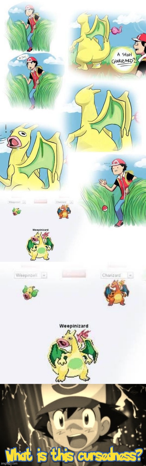 CURSEDNESS AT IT'S BEST | image tagged in pokemon,pokemon memes,ash ketchum,cursed | made w/ Imgflip meme maker