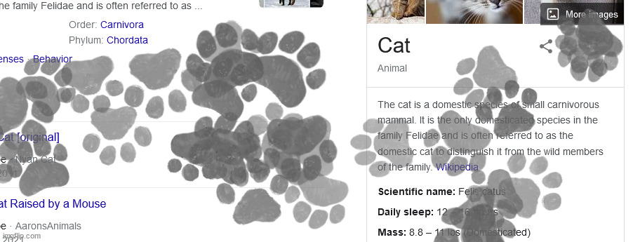 cats destroyed google | made w/ Imgflip meme maker