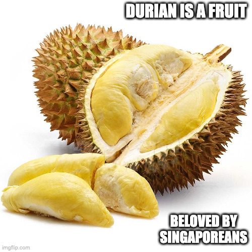Durian | DURIAN IS A FRUIT; BELOVED BY SINGAPOREANS | image tagged in durian,fruit,memes | made w/ Imgflip meme maker