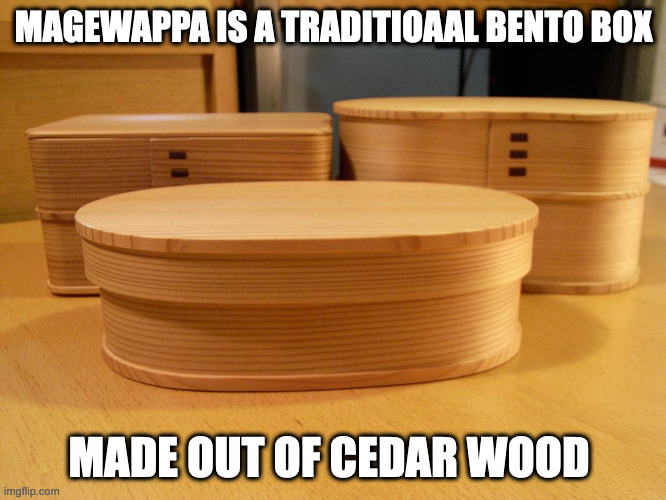 Magewappa | MAGEWAPPA IS A TRADITIOAAL BENTO BOX; MADE OUT OF CEDAR WOOD | image tagged in lunch box,memes | made w/ Imgflip meme maker