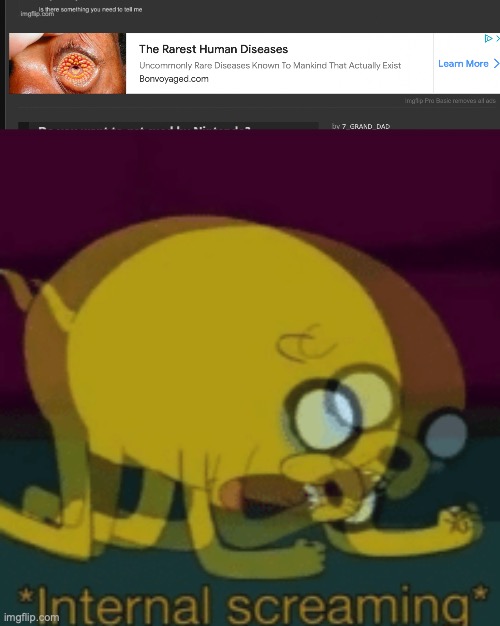 WHAT IS T H A T | image tagged in jake the dog internal screaming | made w/ Imgflip meme maker