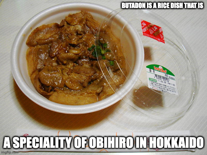 Butadon | BUTADON IS A RICE DISH THAT IS; A SPECIALITY OF OBIHIRO IN HOKKAIDO | image tagged in food,memes | made w/ Imgflip meme maker