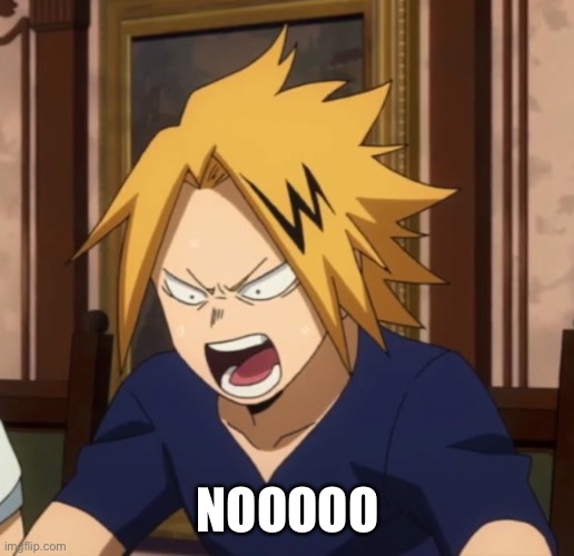 Angy denki | NOOOOO | image tagged in angy denki | made w/ Imgflip meme maker