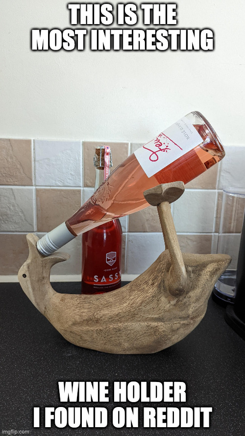 Duck-Shaped Wine Holder | THIS IS THE MOST INTERESTING; WINE HOLDER I FOUND ON REDDIT | image tagged in wine holder,memes | made w/ Imgflip meme maker