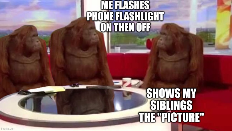 how to make siblings mad | ME FLASHES PHONE FLASHLIGHT ON THEN OFF; SHOWS MY SIBLINGS THE "PICTURE" | image tagged in where monkey | made w/ Imgflip meme maker