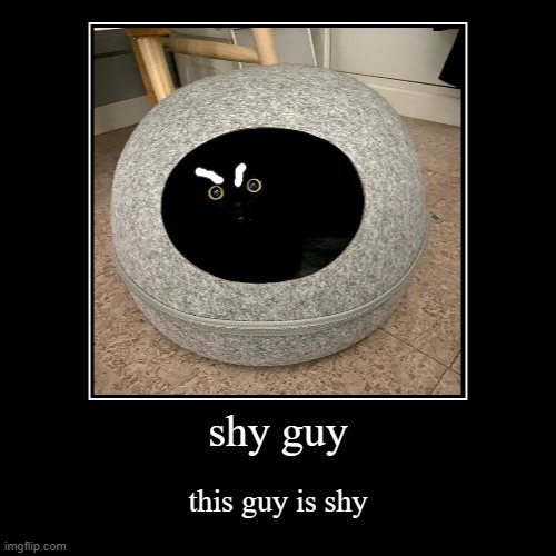 this guy called shy guy | image tagged in funny,demotivationals | made w/ Imgflip demotivational maker
