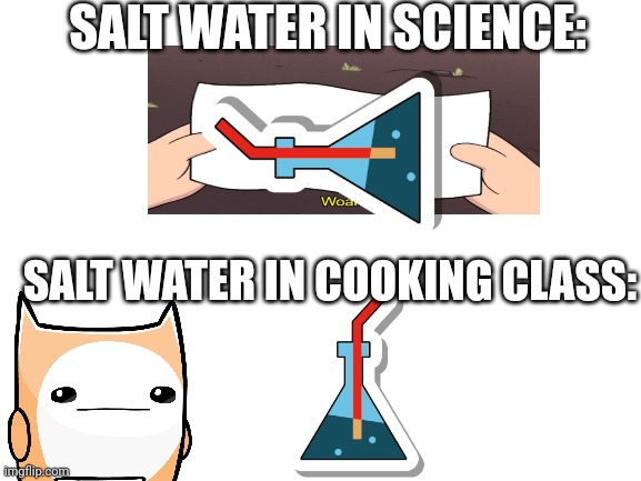 Lmao | SALT WATER IN SCIENCE:; SALT WATER IN COOKING CLASS: | image tagged in blank white template,science,chemistry,idk | made w/ Imgflip meme maker