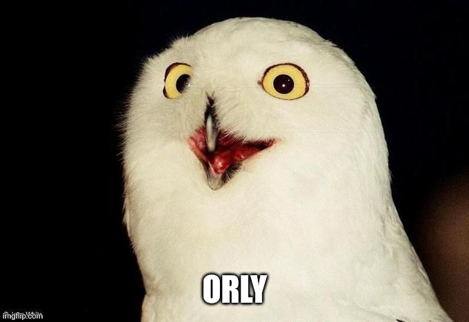 Orly Owl | ORLY | image tagged in orly owl | made w/ Imgflip meme maker