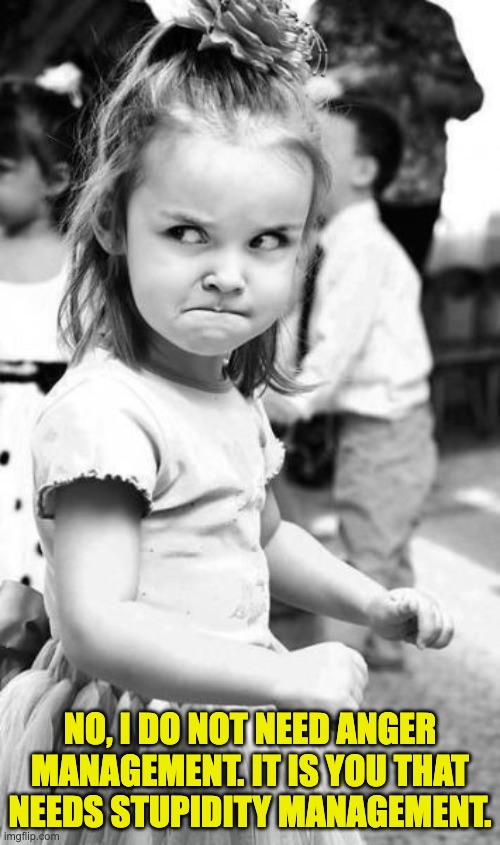 Anger | NO, I DO NOT NEED ANGER MANAGEMENT. IT IS YOU THAT NEEDS STUPIDITY MANAGEMENT. | image tagged in memes,angry toddler | made w/ Imgflip meme maker