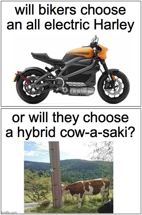 cow saki | will bikers choose an all electric Harley; or will they choose a hybrid cow-a-saki? | image tagged in memes,blank comic panel 1x2 | made w/ Imgflip meme maker