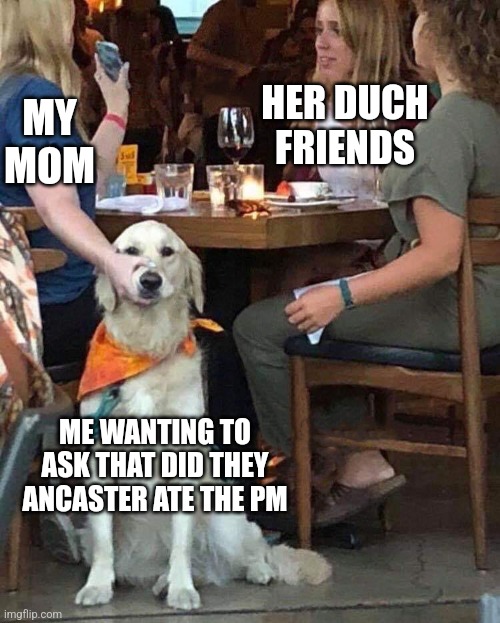 What was the PM name btw ? | HER DUCH FRIENDS; MY MOM; ME WANTING TO ASK THAT DID THEY ANCASTER ATE THE PM | image tagged in lady holds dogs mouth shut | made w/ Imgflip meme maker