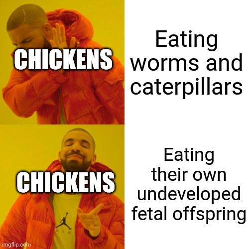 Chickens | Eating worms and caterpillars; CHICKENS; Eating their own undeveloped fetal offspring; CHICKENS | image tagged in memes,drake hotline bling,chicken | made w/ Imgflip meme maker