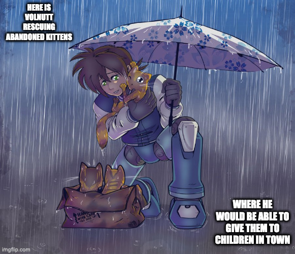 Volnutt With Kittens | HERE IS VOLNUTT RESCUING ABANDONED KITTENS; WHERE HE WOULD BE ABLE TO GIVE THEM TO CHILDREN IN TOWN | image tagged in cats,megaman,megaman legends,mega man volnutt,memes | made w/ Imgflip meme maker