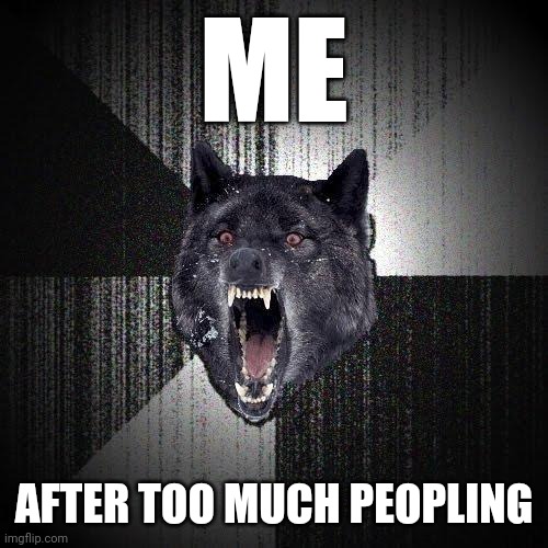 Too Much Peopling | ME; AFTER TOO MUCH PEOPLING | image tagged in memes,insanity wolf | made w/ Imgflip meme maker