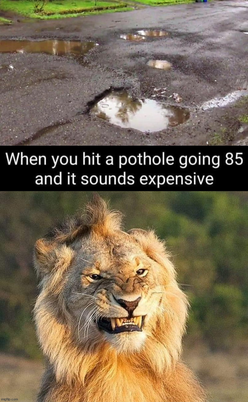 image tagged in pot holes,cars | made w/ Imgflip meme maker