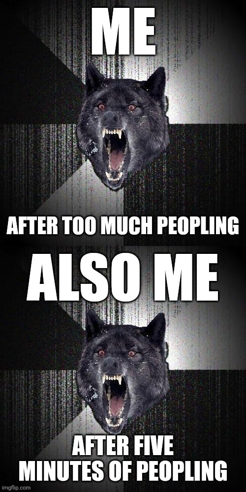 I Hate People | ME; AFTER TOO MUCH PEOPLING | image tagged in memes,insanity wolf | made w/ Imgflip meme maker