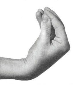 Italian hand gesture Blank Meme Template
