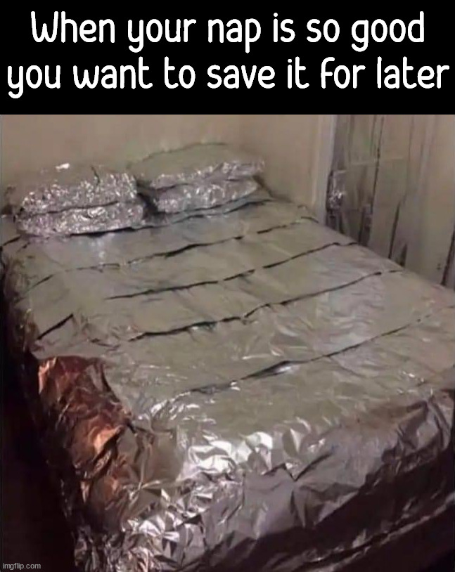 I like a good nap | When your nap is so good you want to save it for later | image tagged in naps,sleep | made w/ Imgflip meme maker