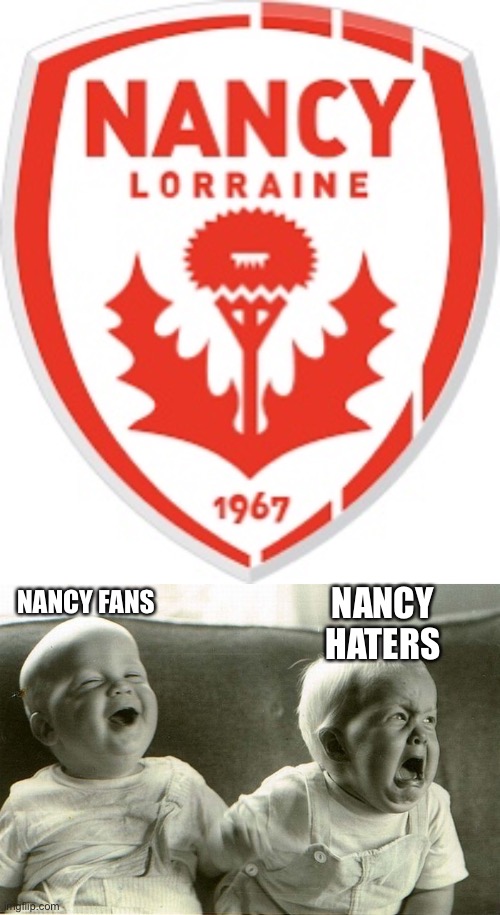 Karma! | NANCY HATERS; NANCY FANS | image tagged in crying and laughing baby | made w/ Imgflip meme maker