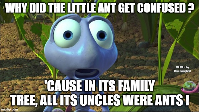 Shocked Ant from A Bug's Life | WHY DID THE LITTLE ANT GET CONFUSED ? MEMEs by Dan Campbell; 'CAUSE IN ITS FAMILY TREE, ALL ITS UNCLES WERE ANTS ! | image tagged in shocked ant from a bug's life | made w/ Imgflip meme maker