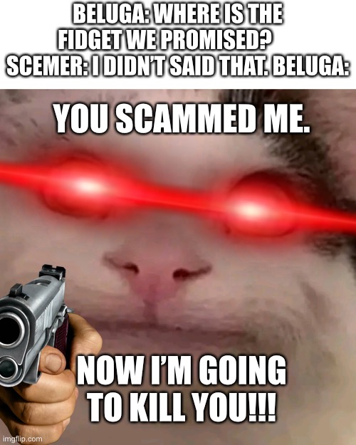 When Scemer scams Beluga, | BELUGA: WHERE IS THE FIDGET WE PROMISED?       SCEMER: I DIDN’T SAID THAT. BELUGA:; YOU SCAMMED ME. NOW I’M GOING TO KILL YOU!!! | image tagged in beluga | made w/ Imgflip meme maker