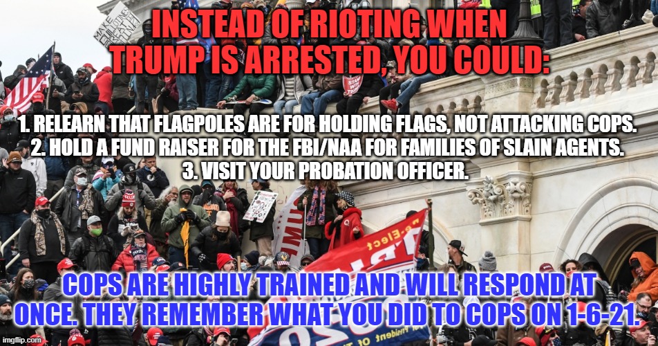 Losing sucks.  Going to prison sucks more.  Stay home and play Risk! | INSTEAD OF RIOTING WHEN TRUMP IS ARRESTED, YOU COULD:; 1. RELEARN THAT FLAGPOLES ARE FOR HOLDING FLAGS, NOT ATTACKING COPS.
2. HOLD A FUND RAISER FOR THE FBI/NAA FOR FAMILIES OF SLAIN AGENTS.
3. VISIT YOUR PROBATION OFFICER. COPS ARE HIGHLY TRAINED AND WILL RESPOND AT ONCE. THEY REMEMBER WHAT YOU DID TO COPS ON 1-6-21. | image tagged in politics | made w/ Imgflip meme maker