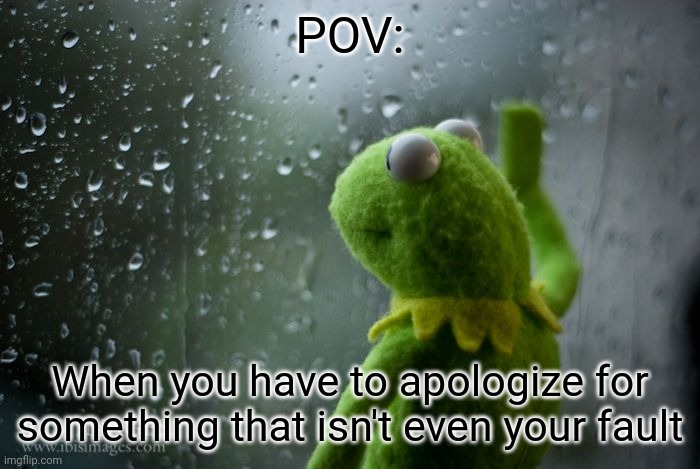 I genuinely hate myself when something like this happens |  POV:; When you have to apologize for something that isn't even your fault | image tagged in kermit window | made w/ Imgflip meme maker