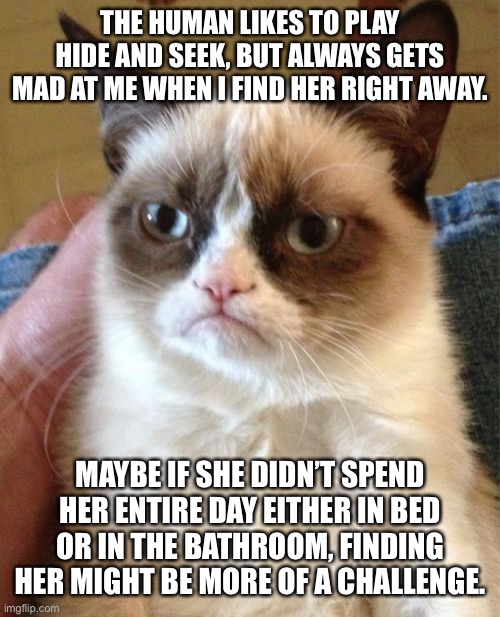 Humans Are No Fun, Sometimes | THE HUMAN LIKES TO PLAY HIDE AND SEEK, BUT ALWAYS GETS MAD AT ME WHEN I FIND HER RIGHT AWAY. MAYBE IF SHE DIDN’T SPEND HER ENTIRE DAY EITHER IN BED OR IN THE BATHROOM, FINDING HER MIGHT BE MORE OF A CHALLENGE. | image tagged in memes,grumpy cat,cats,humor,funny,pets | made w/ Imgflip meme maker