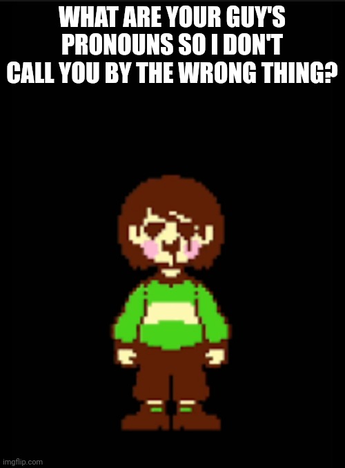 ? | WHAT ARE YOUR GUY'S PRONOUNS SO I DON'T CALL YOU BY THE WRONG THING? | image tagged in -chara_tgm- template | made w/ Imgflip meme maker