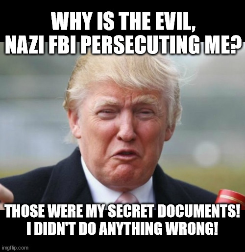 Trump Crybaby | WHY IS THE EVIL, NAZI FBI PERSECUTING ME? THOSE WERE MY SECRET DOCUMENTS!
I DIDN'T DO ANYTHING WRONG! | image tagged in trump crybaby | made w/ Imgflip meme maker