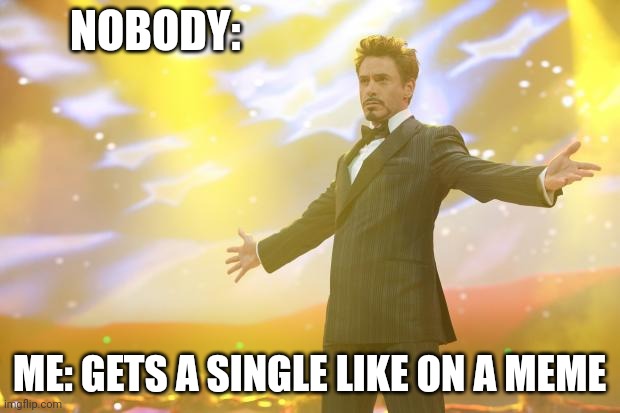Tony Stark success | NOBODY:; ME: GETS A SINGLE LIKE ON A MEME | image tagged in tony stark success | made w/ Imgflip meme maker