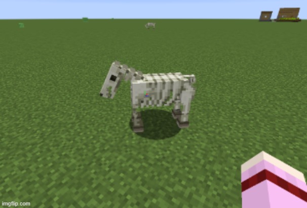 Baby skeleton horses are SO CUTE! | image tagged in minecraft,skeleton,horse | made w/ Imgflip meme maker