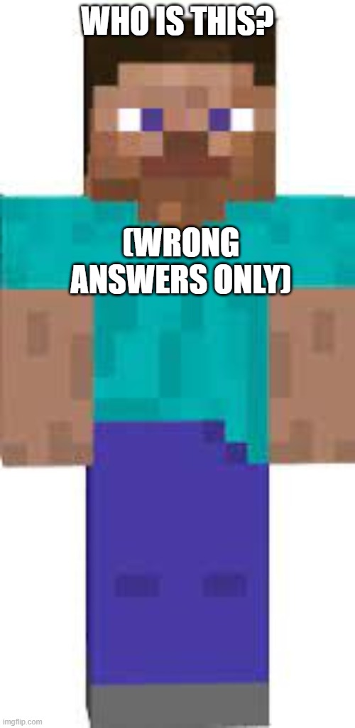 *Inserts best tittle* |  WHO IS THIS? (WRONG ANSWERS ONLY) | image tagged in steve,minecraft | made w/ Imgflip meme maker