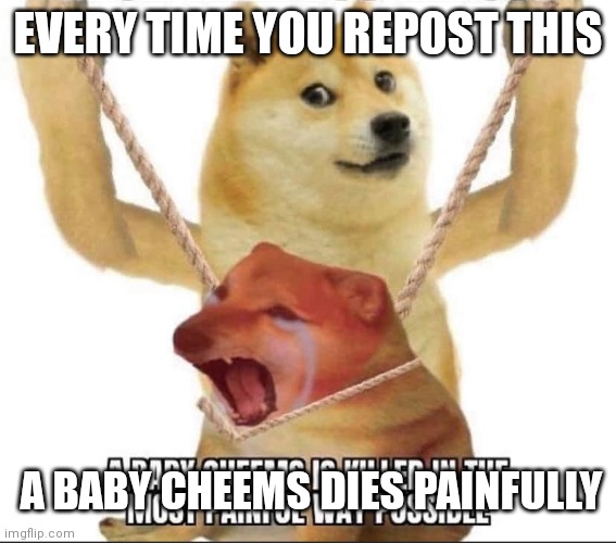 Cheems dies | EVERY TIME YOU REPOST THIS; A BABY CHEEMS DIES PAINFULLY | image tagged in death,cheems,abuse,child abuse | made w/ Imgflip meme maker