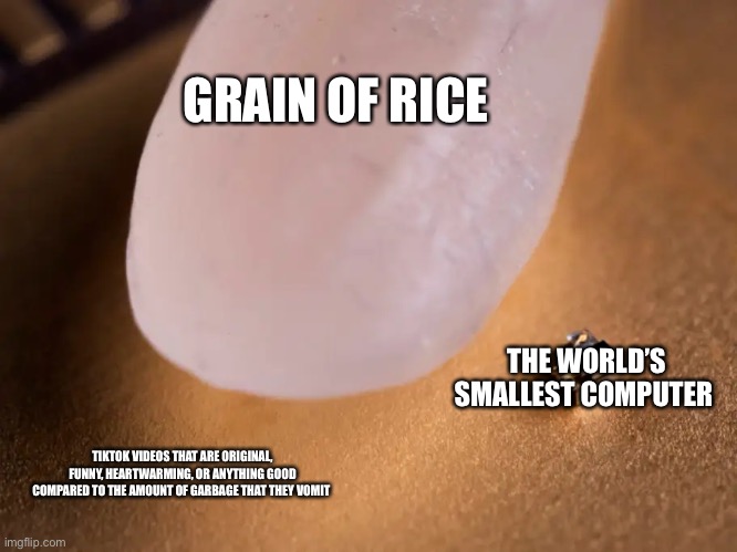 There is SOME TikTok content that is good ig |  GRAIN OF RICE; THE WORLD’S SMALLEST COMPUTER; TIKTOK VIDEOS THAT ARE ORIGINAL, FUNNY, HEARTWARMING, OR ANYTHING GOOD COMPARED TO THE AMOUNT OF GARBAGE THAT THEY VOMIT | image tagged in worlds smallest computer,tiktok,tiktok sucks,unoriginal,funny memes,original meme | made w/ Imgflip meme maker
