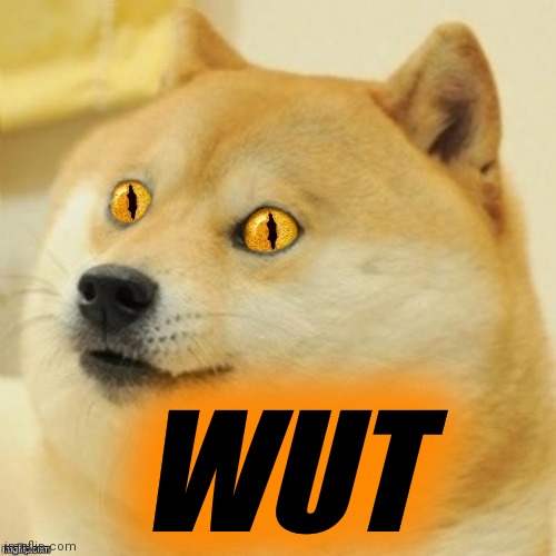 Doge Snake Eyes | WUT | image tagged in doge snake eyes | made w/ Imgflip meme maker