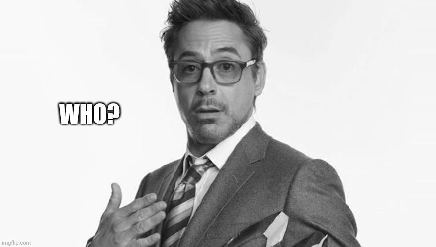 Robert Downey Jr's Comments | WHO? | image tagged in robert downey jr's comments | made w/ Imgflip meme maker