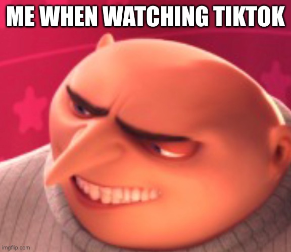 ME WHEN WATCHING TIKTOK | image tagged in certified bruh moment | made w/ Imgflip meme maker