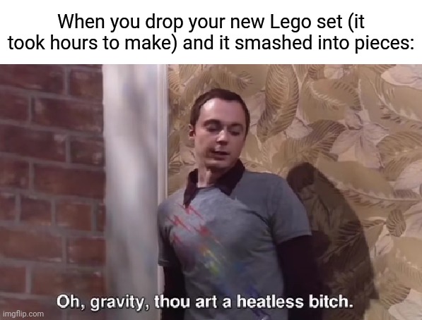 Its been a minute since I've posted anything here |  When you drop your new Lego set (it took hours to make) and it smashed into pieces: | image tagged in oh gravity thou art a heartless bitch,lego,memes,funny | made w/ Imgflip meme maker